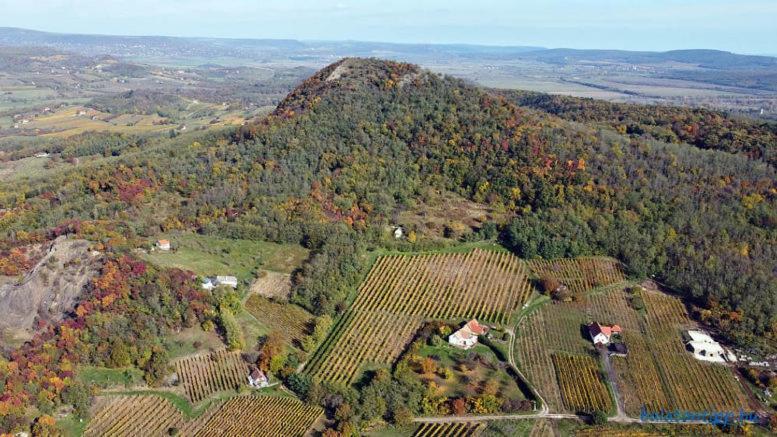 Erdodi Pince Badacsony Villa Nemesgulács Buitenkant foto